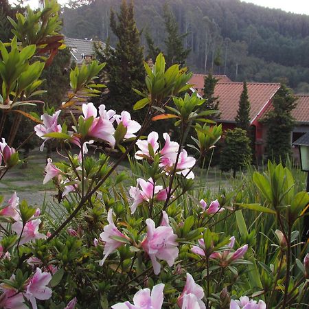 Pousada Flores da Serra Monte Verde (Minas Gerais) Exterior foto