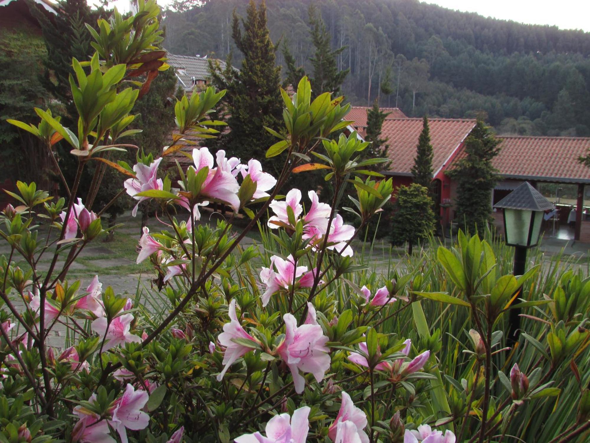 Pousada Flores da Serra Monte Verde (Minas Gerais) Exterior foto